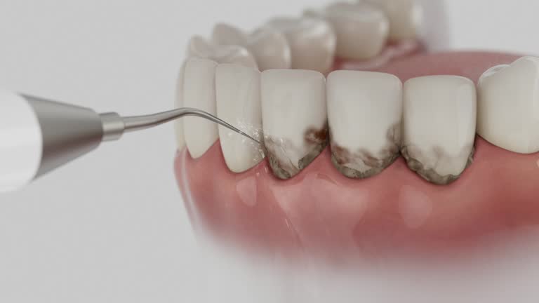 Reliable Dental contractor in Mississippi State, MS by Dentist Open Now